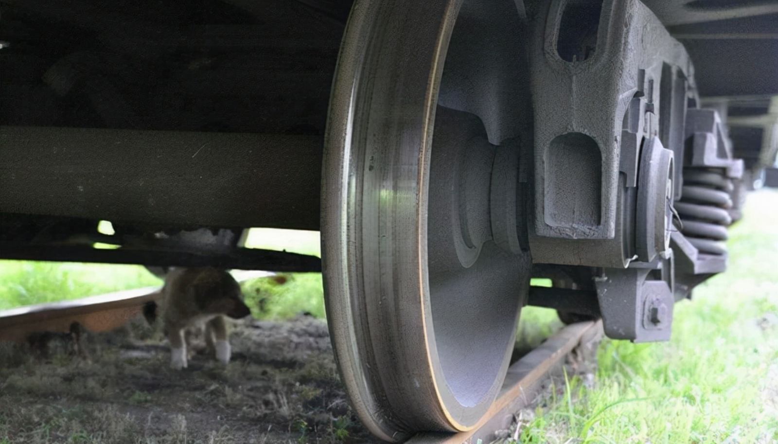 The Anatomy of Train Wheels: Key Components and Protective Measures